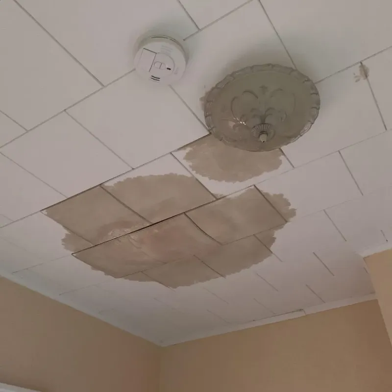 Ceiling Water Damage Repair in Valley City, ND