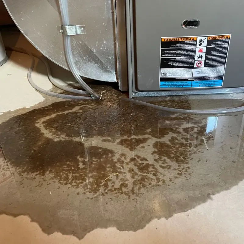 Pipe Burst and Leak Restoration in Valley City, ND