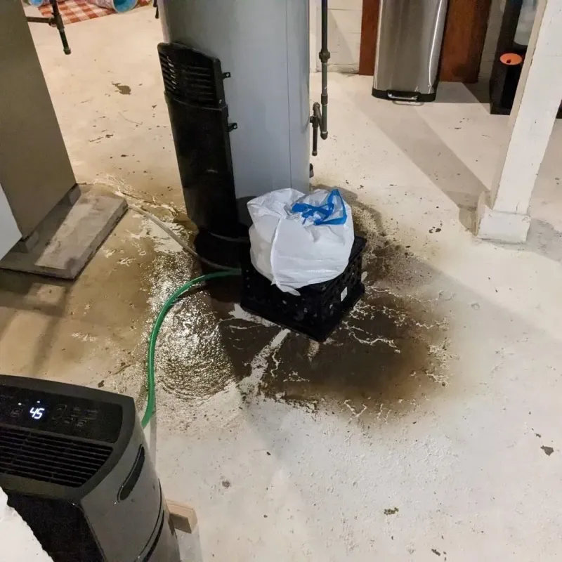 Sewage Backup Cleanup Service in Valley City, ND